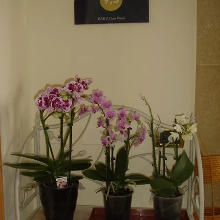 Oda ve Kahvaltı A Due Passi