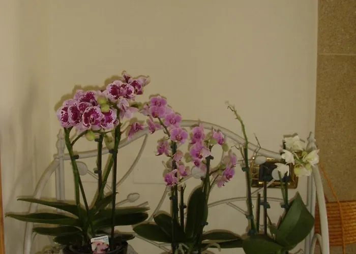 Nocleg ze śniadaniem A Due Passi